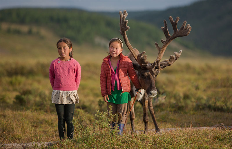 tsaatan reindeer herders 